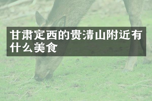 甘肃定西的贵清山附近有什么美食