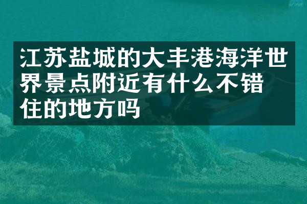 江苏盐城的大丰港海洋世界景点附近有什么不错的住的地方吗