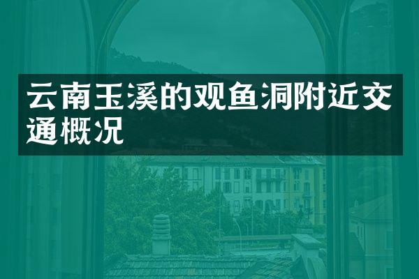云南玉溪的观鱼洞附近交通概况