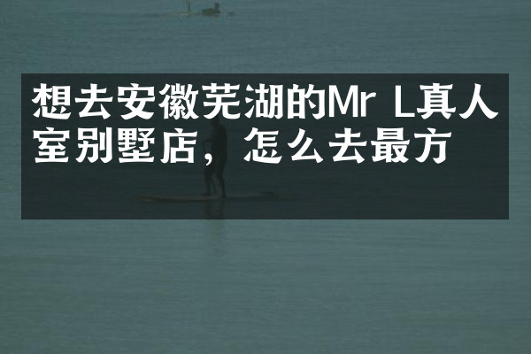 想去安徽芜湖的Mr L真人密室别墅店，怎么去最方便