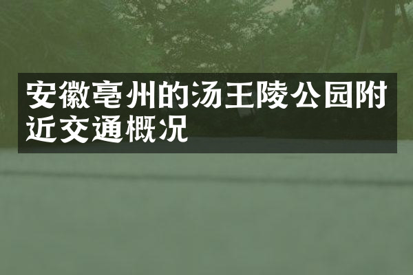 安徽亳州的汤王陵公园附近交通概况