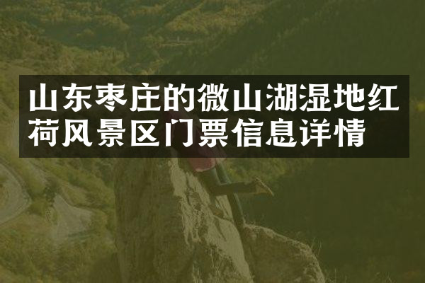 山东枣庄的微山湖湿地红荷风景区门票信息详情