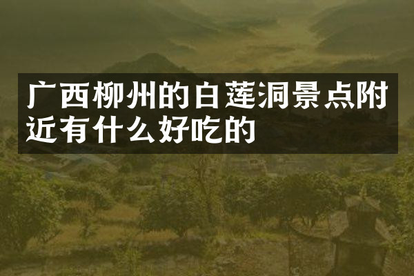 广西柳州的白莲洞景点附近有什么好吃的