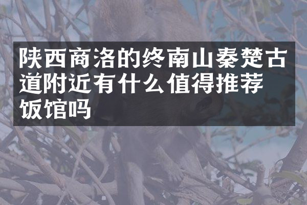 陕西商洛的终南山秦楚古道附近有什么值得推荐的饭馆吗