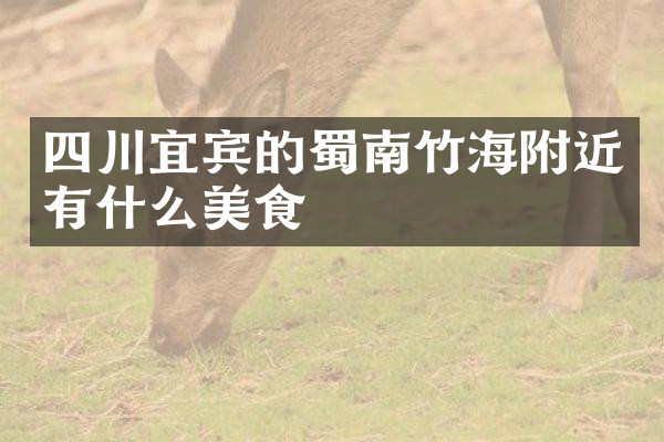 四川宜宾的蜀南竹海附近有什么美食