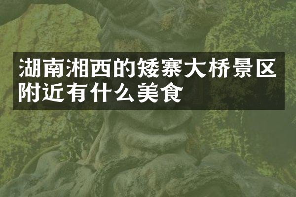 湖南湘西的矮寨大桥景区附近有什么美食