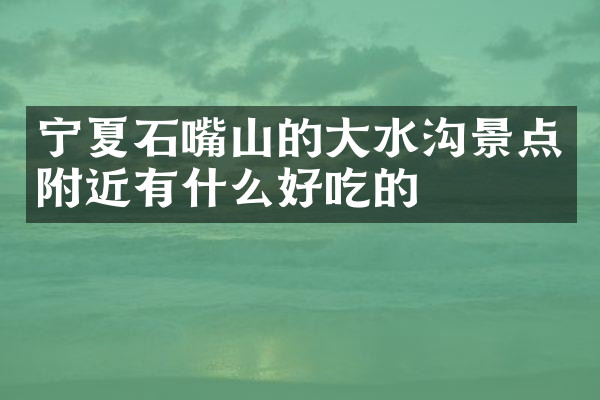 宁夏石嘴山的大水沟景点附近有什么好吃的