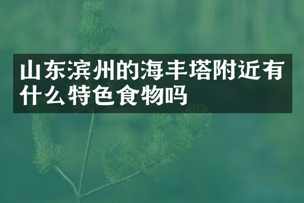 山东滨州的海丰塔附近有什么特色食物吗