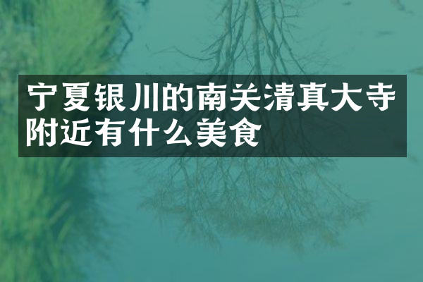 宁夏银川的南关清真大寺附近有什么美食