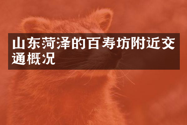山东菏泽的百寿坊附近交通概况