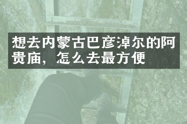 想去内蒙古巴彦淖尔的阿贵庙，怎么去最方便