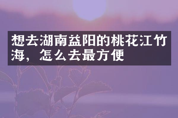 想去湖南益阳的桃花江竹海，怎么去最方便