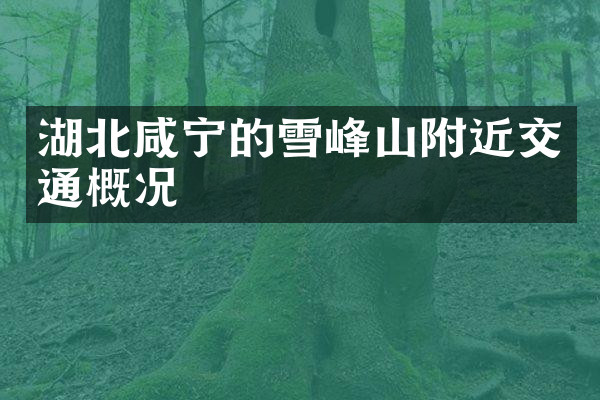 湖北咸宁的雪峰山附近交通概况