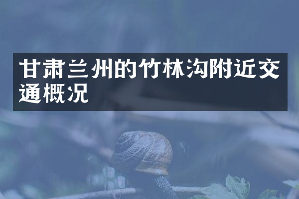 甘肃兰州的竹林沟附近交通概况