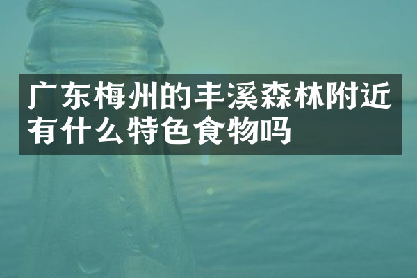广东梅州的丰溪森林附近有什么特色食物吗