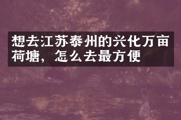 想去江苏泰州的兴化万亩荷塘，怎么去最方便