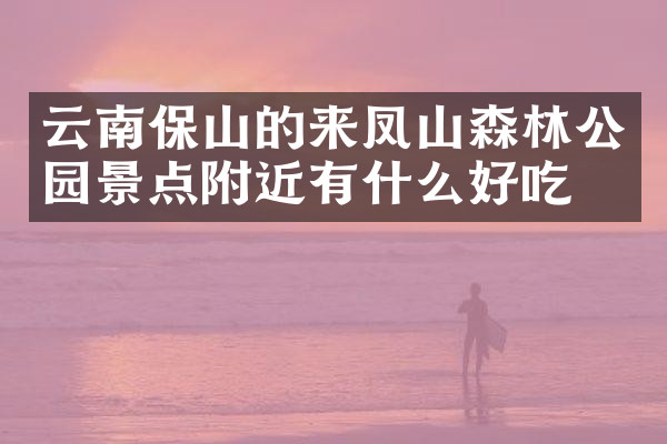 云南保山的来凤山森林公园景点附近有什么好吃的
