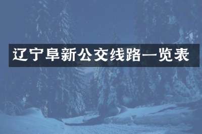 辽宁阜新公交线路一览表