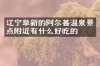 辽宁阜新的阿尔善温泉景点附近有什么好吃的