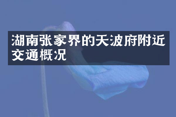 湖南张家界的天波府附近交通概况