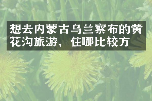想去内蒙古乌兰察布的黄花沟旅游，住哪比较方便