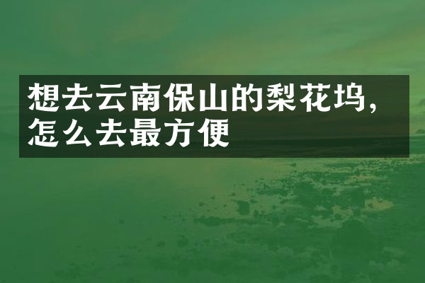 想去云南保山的梨花坞，怎么去最方便