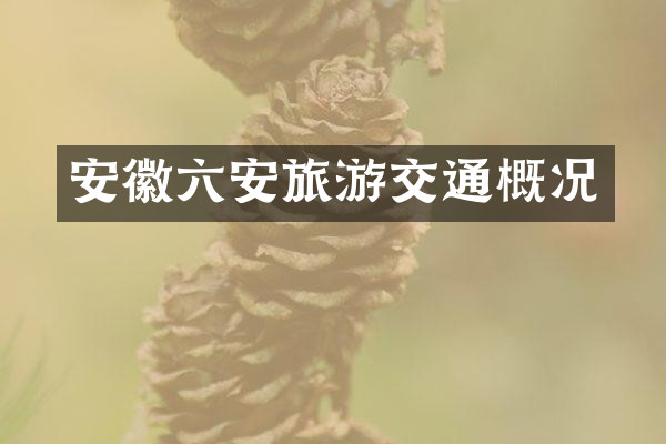 安徽六安旅游交通概况