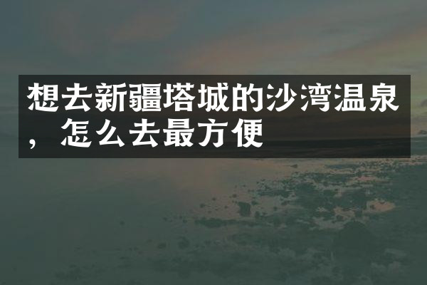 想去新疆塔城的沙湾温泉，怎么去最方便