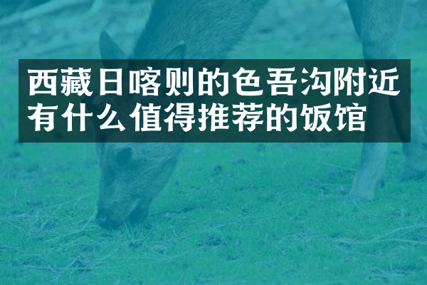 西藏日喀则的色吾沟附近有什么值得推荐的饭馆吗