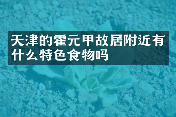 天津的霍元甲故居附近有什么特色食物吗