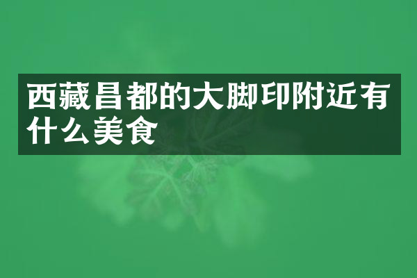 西藏昌都的大脚印附近有什么美食