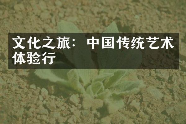 文化之旅：中国传统艺术体验行