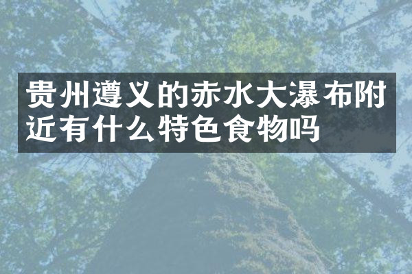 贵州遵义的赤水大瀑布附近有什么特色食物吗