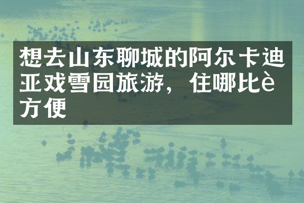 想去山东聊城的阿尔卡迪亚戏雪园旅游，住哪比较方便