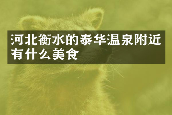 河北衡水的泰华温泉附近有什么美食