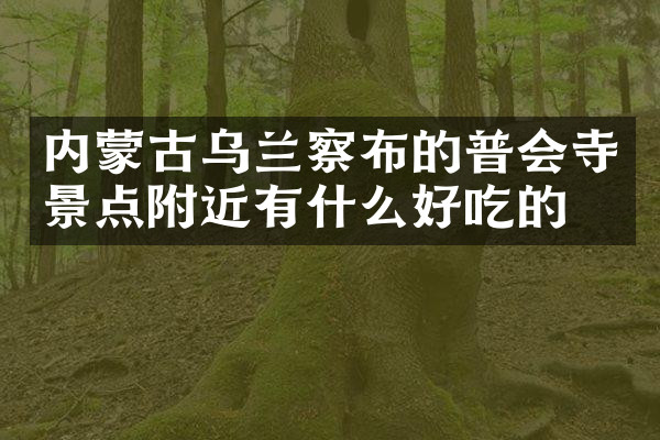 内蒙古乌兰察布的普会寺景点附近有什么好吃的