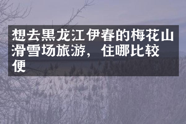 想去黑龙江伊春的梅花山滑雪场旅游，住哪比较方便