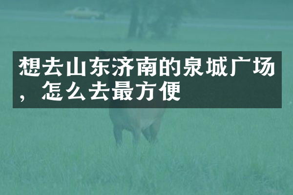 想去山东济南的泉城广场，怎么去最方便