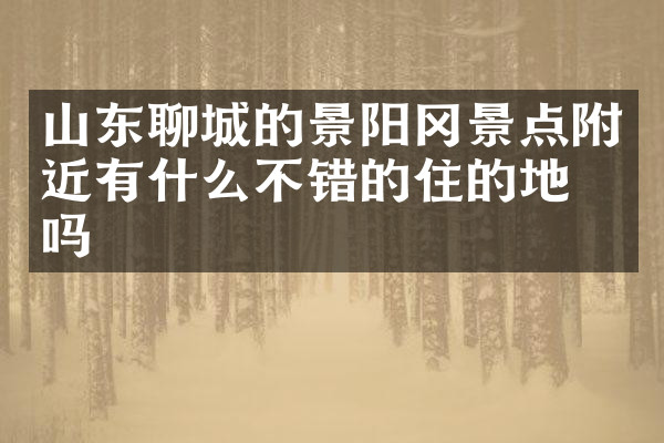 山东聊城的景阳冈景点附近有什么不错的住的地方吗