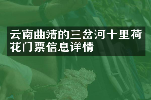 云南曲靖的三岔河十里荷花门票信息详情