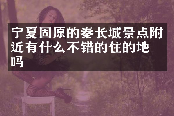 宁夏固原的秦长城景点附近有什么不错的住的地方吗