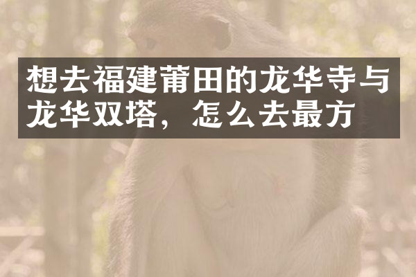 想去福建莆田的龙华寺与龙华双塔，怎么去最方便
