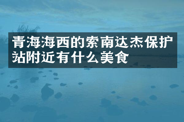 青海海西的索南达杰保护站附近有什么美食