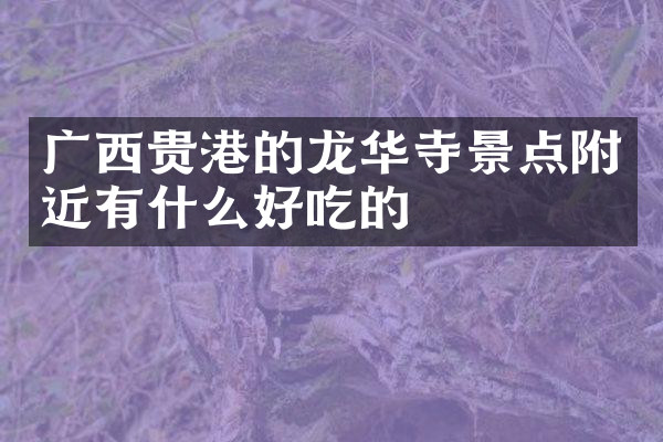 广西贵港的龙华寺景点附近有什么好吃的