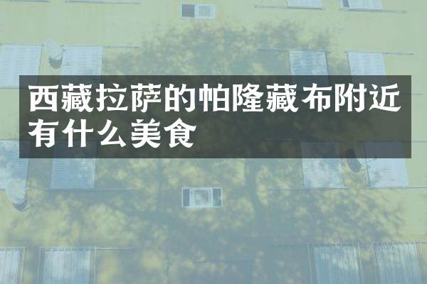 西藏拉萨的帕隆藏布附近有什么美食