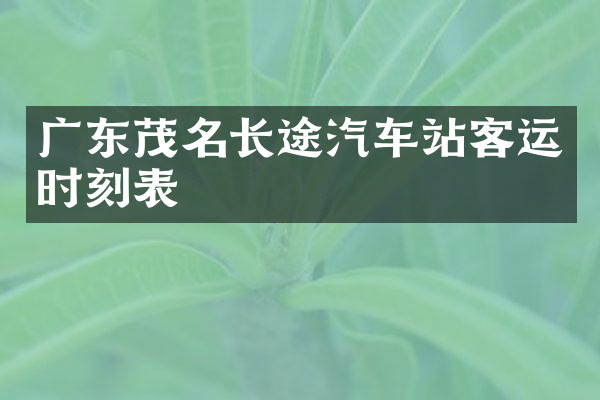 广东茂名长途汽车站客运时刻表
