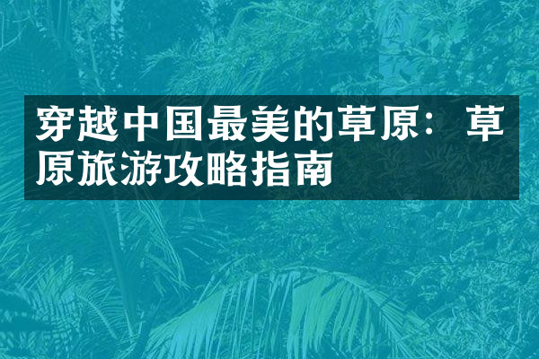 穿越中国最美的草原：草原旅游攻略指南