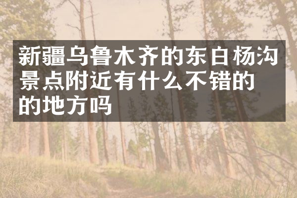 新疆乌鲁木齐的东白杨沟景点附近有什么不错的住的地方吗
