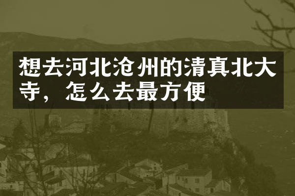想去河北沧州的清真北大寺，怎么去最方便