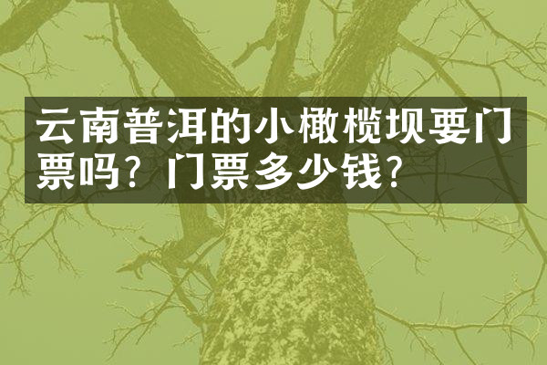 云南普洱的小橄榄坝要门票吗？门票多少钱？